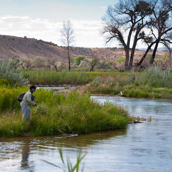 Fly Fishing in Utah