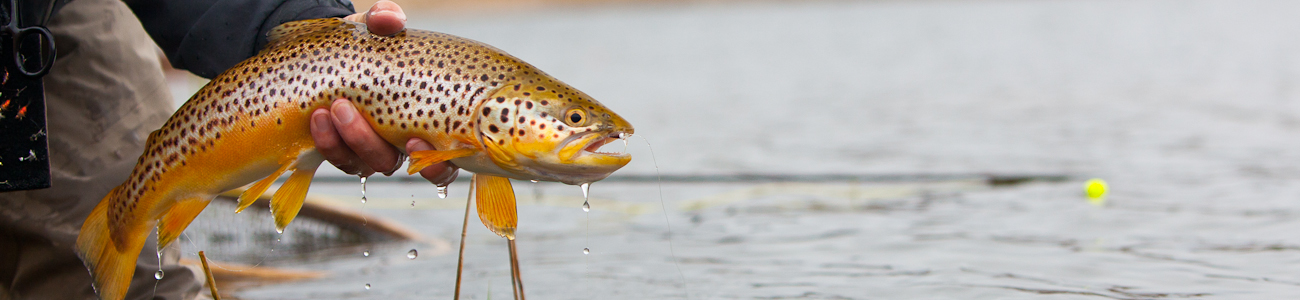 Premier Fly Fishing Lodge
