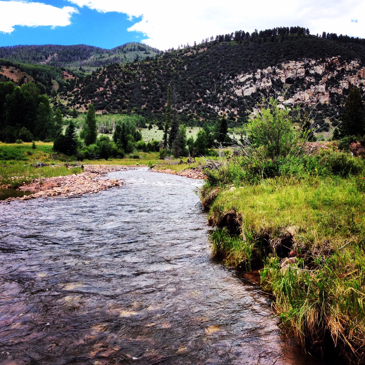 Mountain Streams