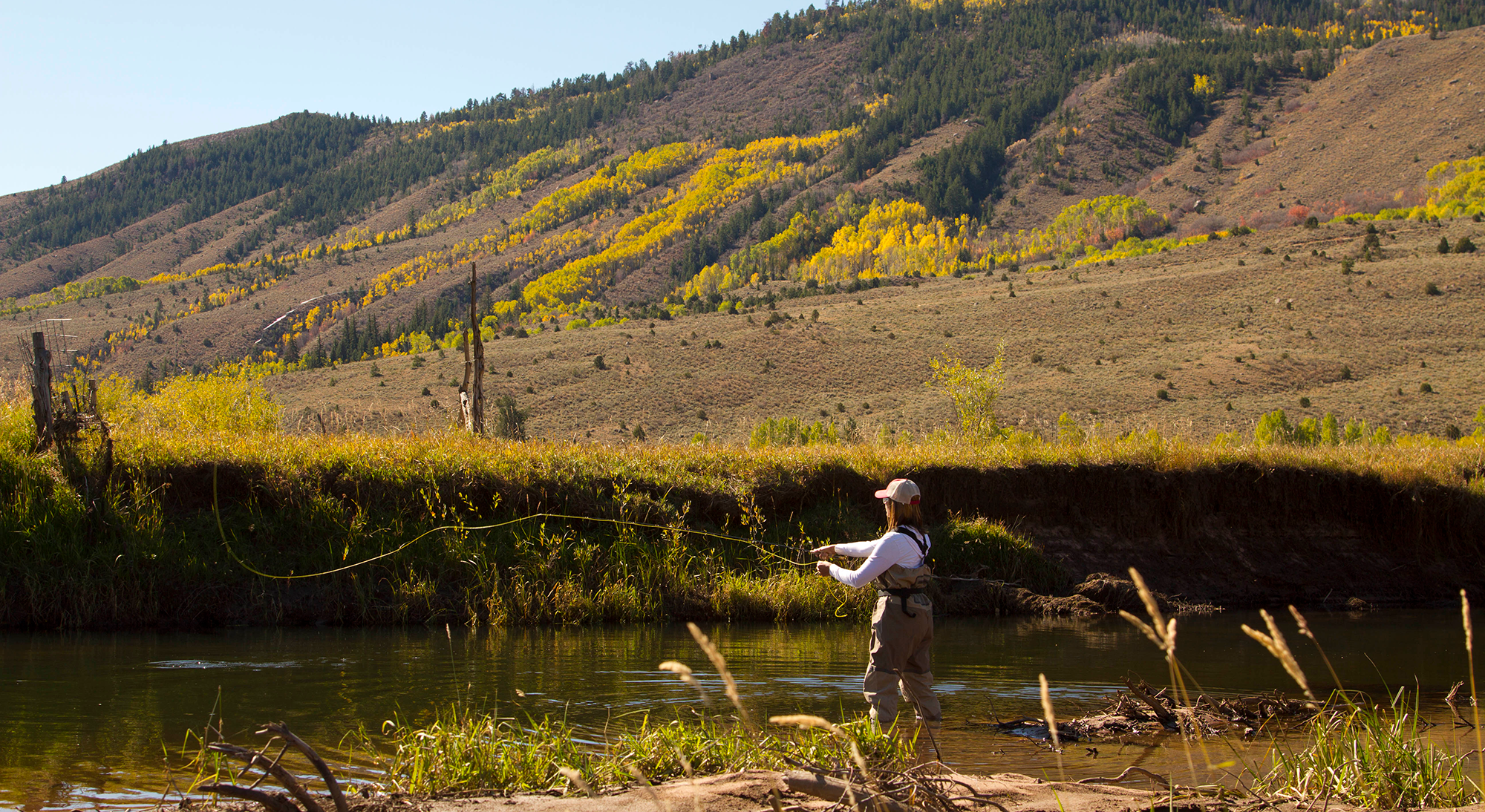 Tandem Streamer Rigs for Fall Trout - Utah Fly Fishing Lodge, Pheasant  Hunting