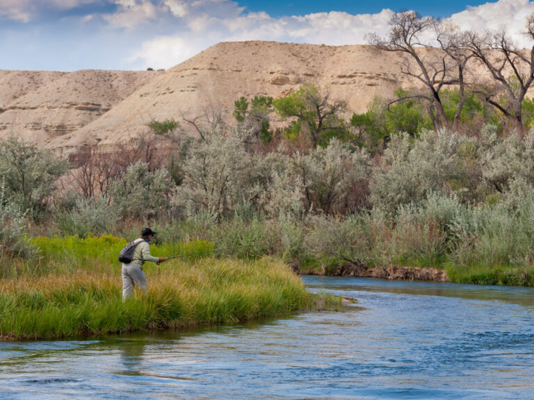 Orvis Endorsed Fly Fishing Lodge Utah Fly Fishing Lodge, Pheasant