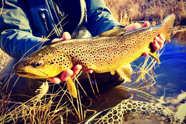 Utah Vacation Rental (3)