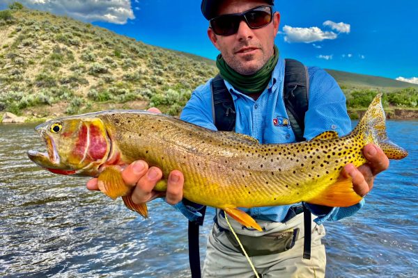 August Fishing