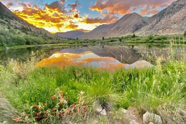 Best Utah Fishing Streams 1