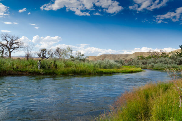 Fly Fishing Utah Rivers in Spring (2)