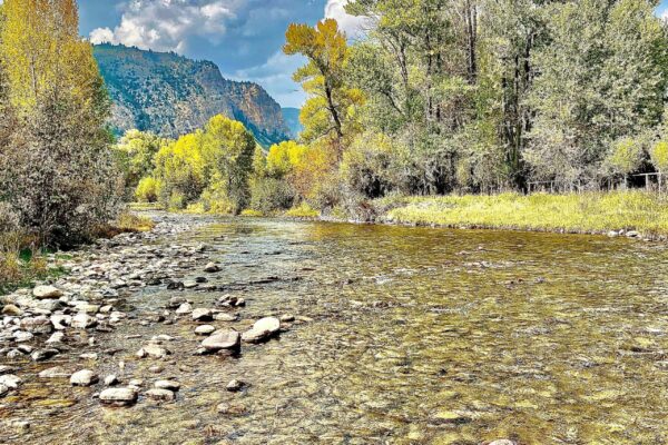 Fall Fly Fishing in Utah (3)