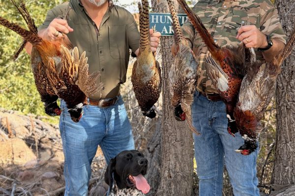 Orvis Pheasant Hunting Lodge 2 Orvis Pheasant Hunting Lodge 2