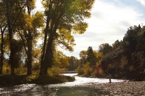 Utah Fall Fly Fishing and Bird Hunting (4) Utah Fall Fly Fishing and Bird Hunting (4)