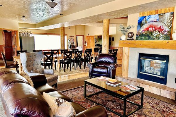 Pheasant Hunting in Utah (4)