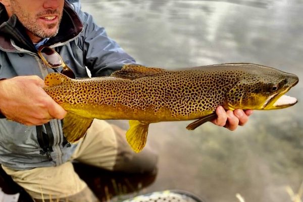 Best Flies for Spring Fishing in Utah (3)