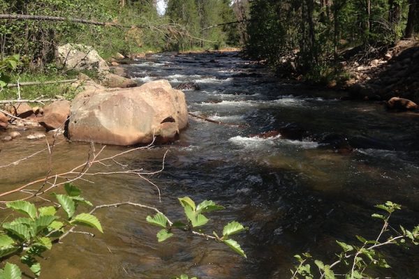 June Fly Fishing in Utah (3)