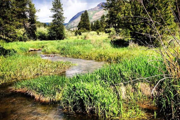 Summer Fly Fishing in Utah (3)